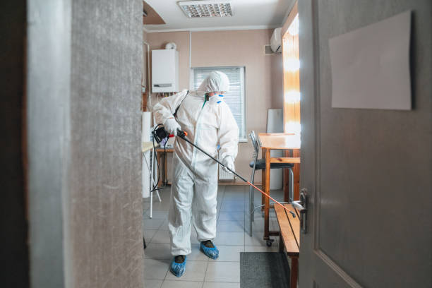 Best Post-Construction Mold Inspection  in San Juan, TX