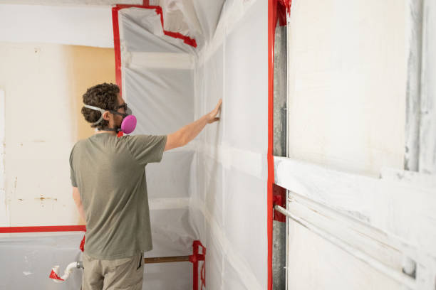 Biohazard Mold Removal in San Juan, TX