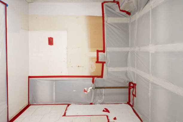Best Residential Mold Inspection & Testing  in San Juan, TX