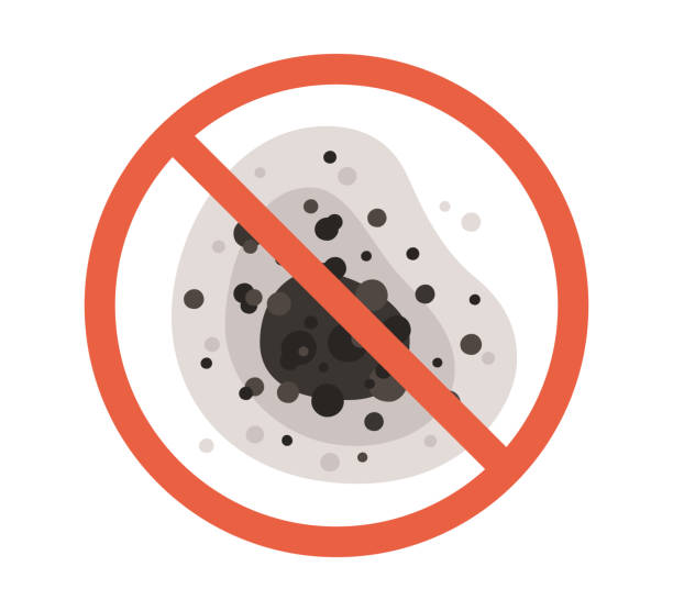 Best Environmental Consulting for Mold Prevention  in San Juan, TX