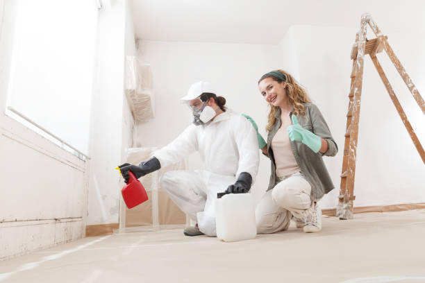 Best Commercial Mold Inspection  in San Juan, TX